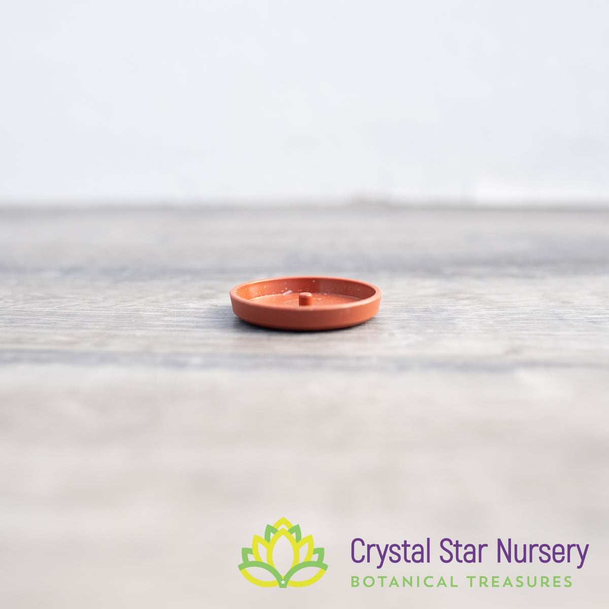 Saucer/Tray for 1&quot; Round Plastic Pot