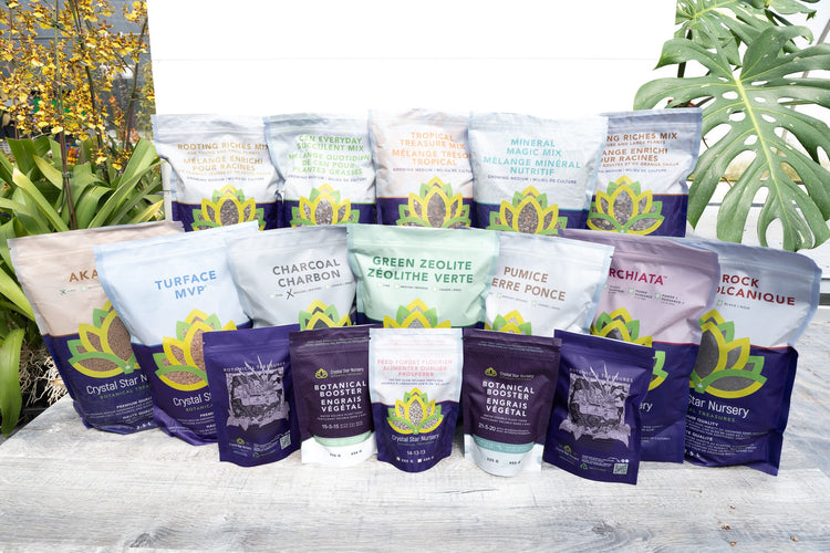 Botanical Treasure Accessories