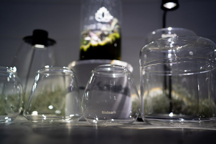 Bioloark