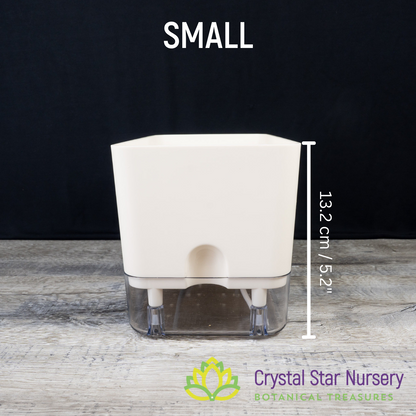 Rectangular Self Watering Pot with Wick