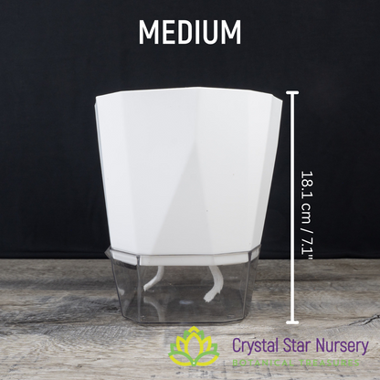 Geometric Self Watering Pot with Wick