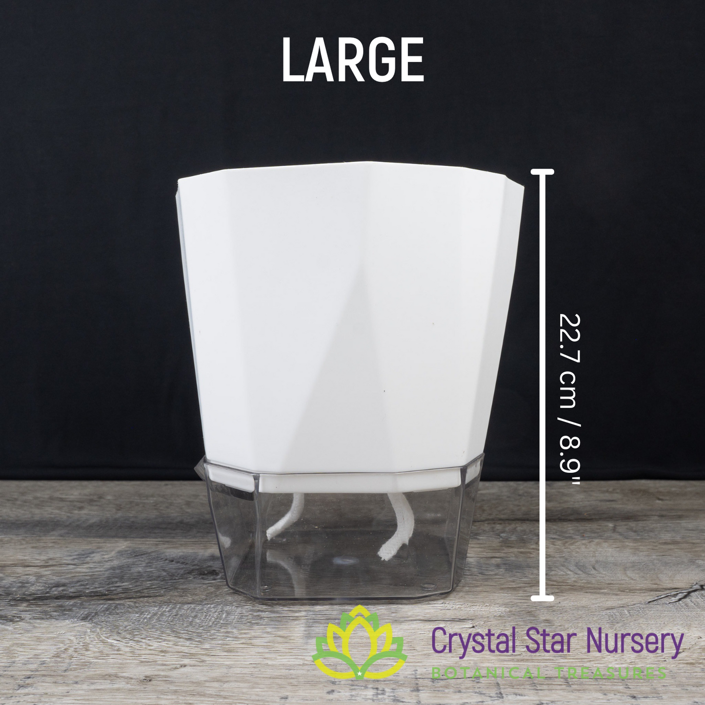 Geometric Self Watering Pot with Wick