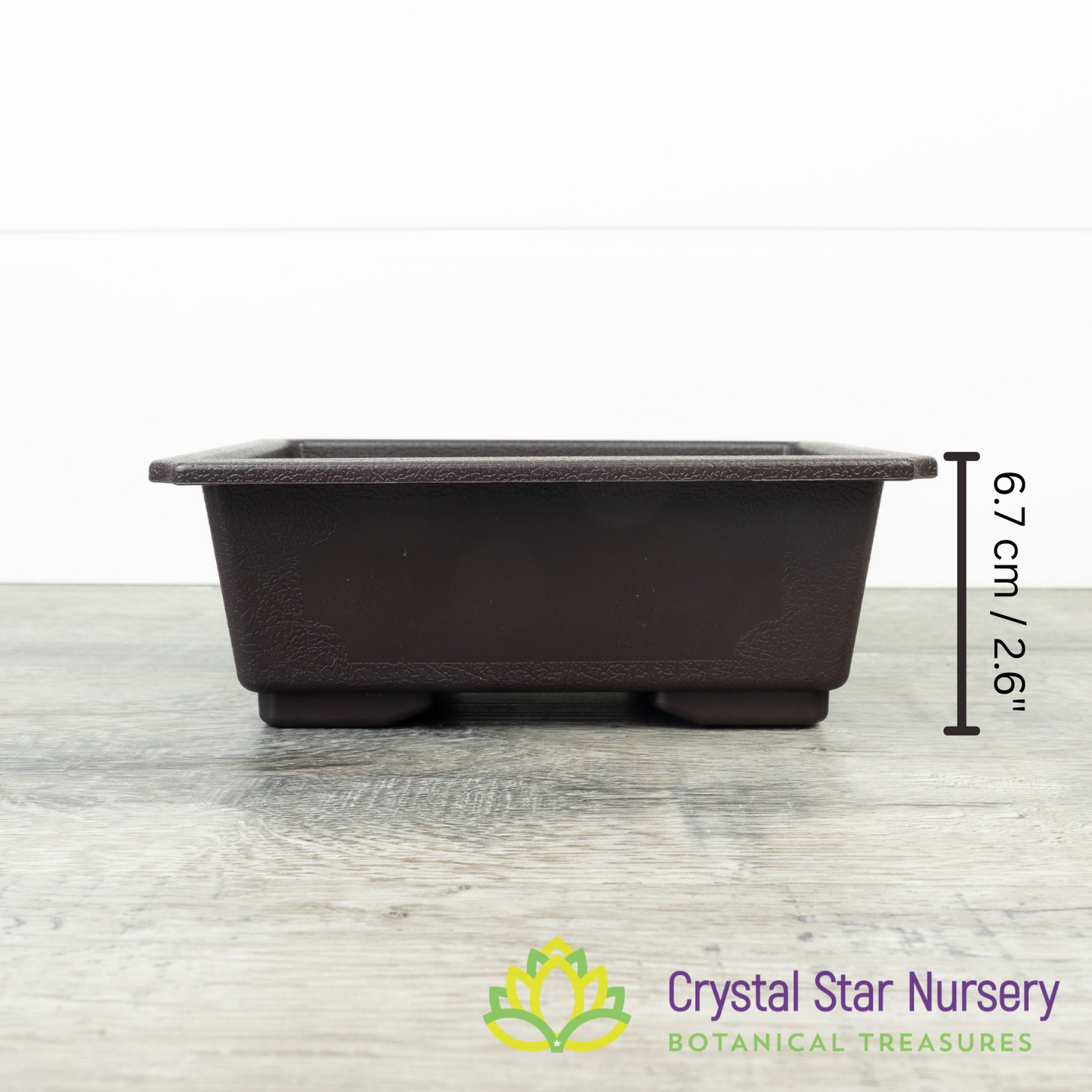 Rectangular Bonsai Training Pot