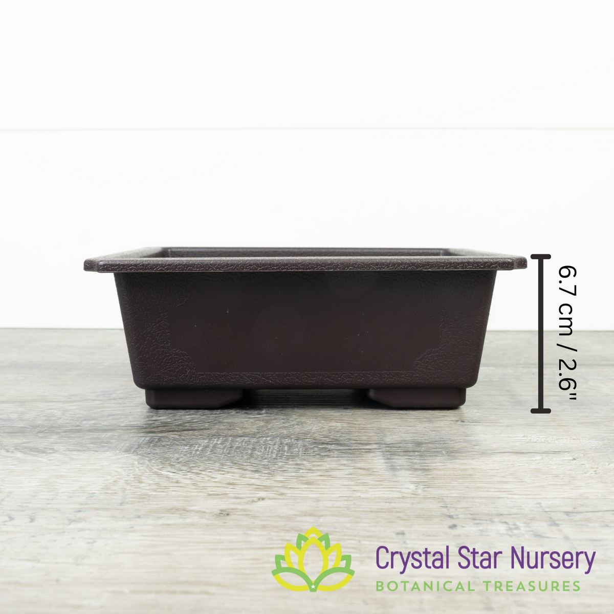 Rectangular Bonsai Training Pot