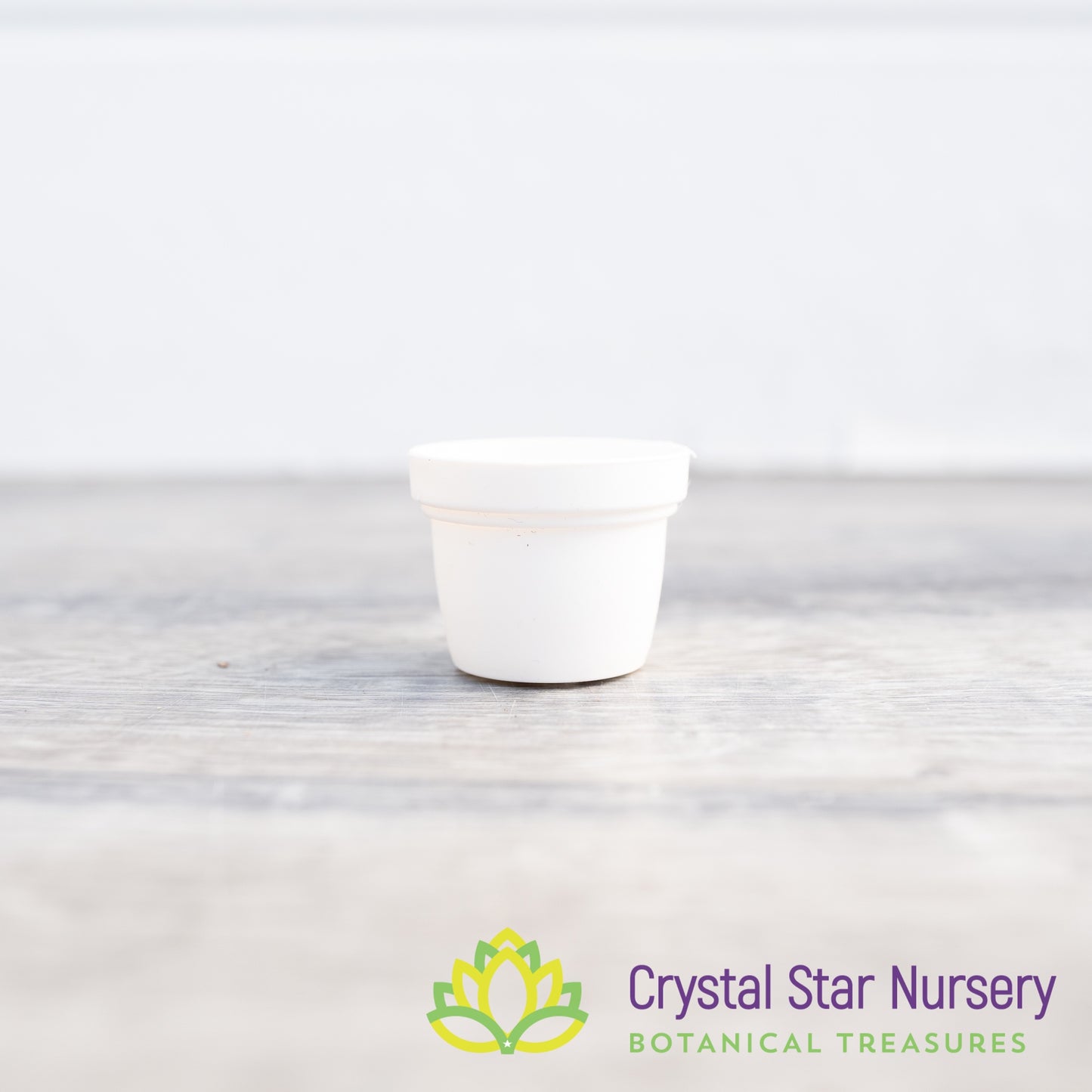 1" Round Plastic Pot