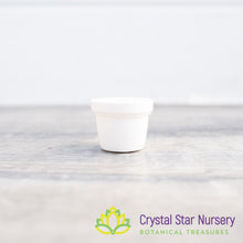 1" Round Plastic Pot