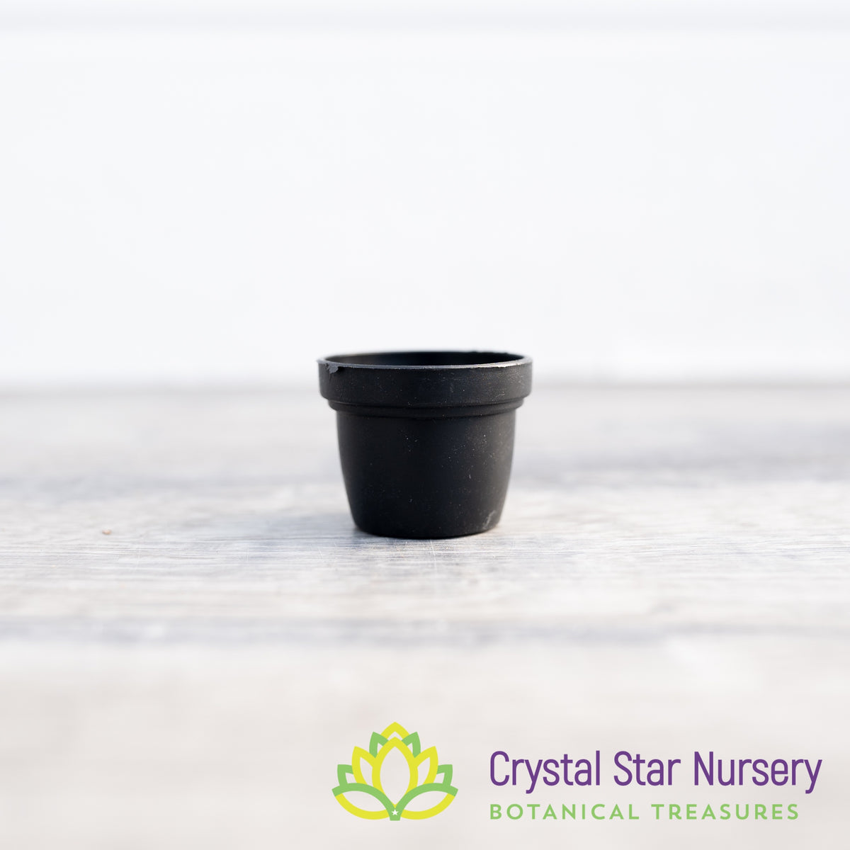 1&quot; Round Plastic Pot