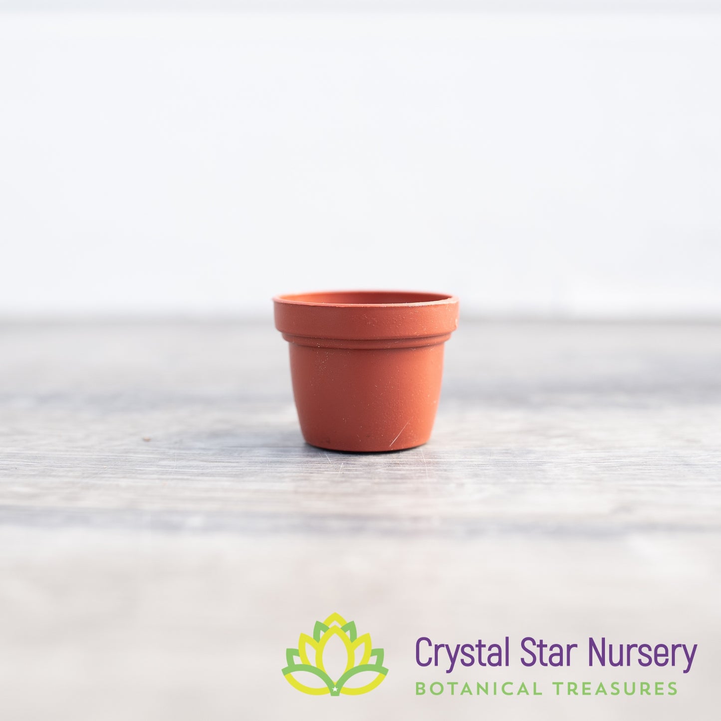 1" Round Plastic Pot