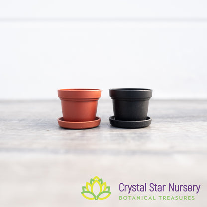 1" Round Plastic Pot