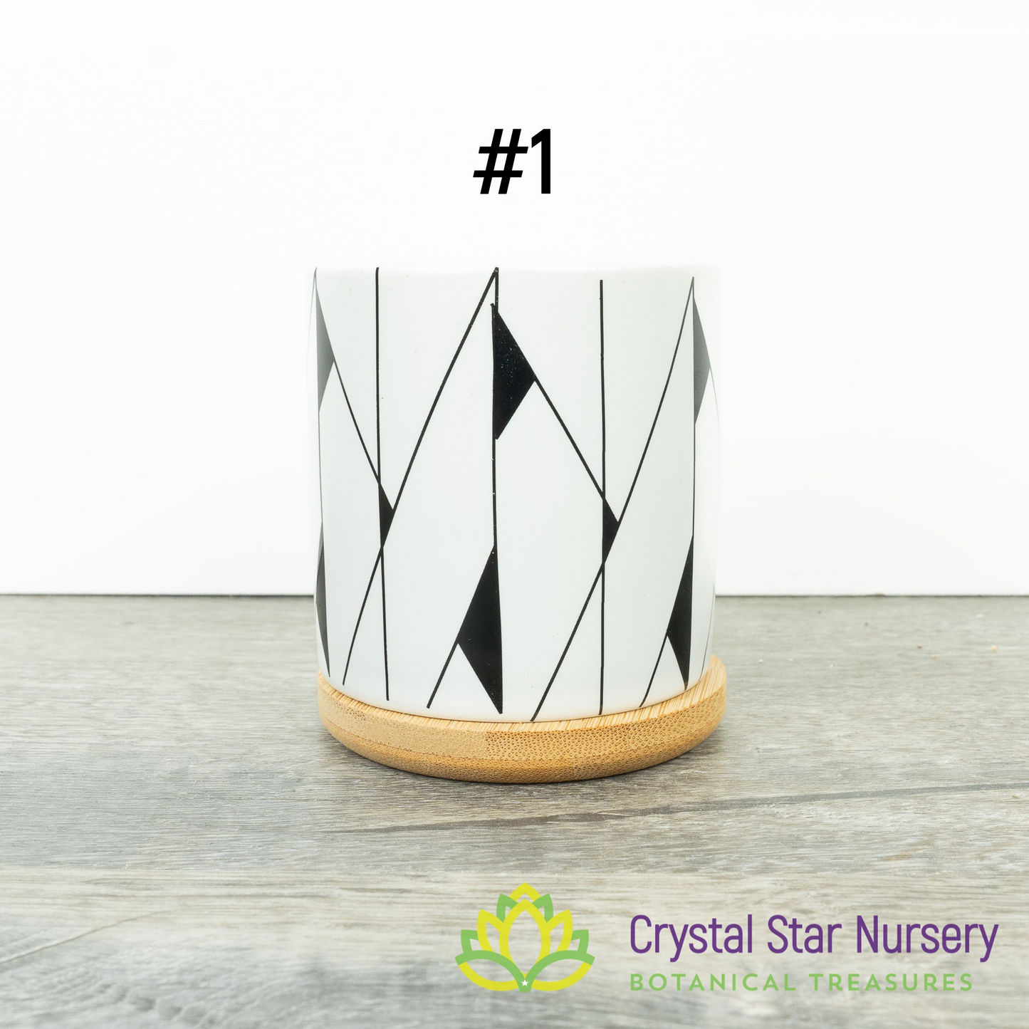 Assorted Design Round Pot with Bamboo Tray