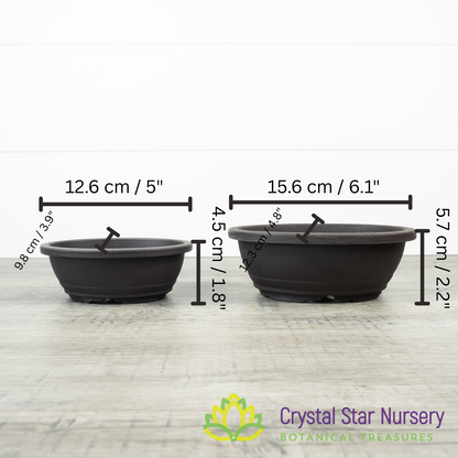 Brown Oval Plastic Bonsai Training Pot