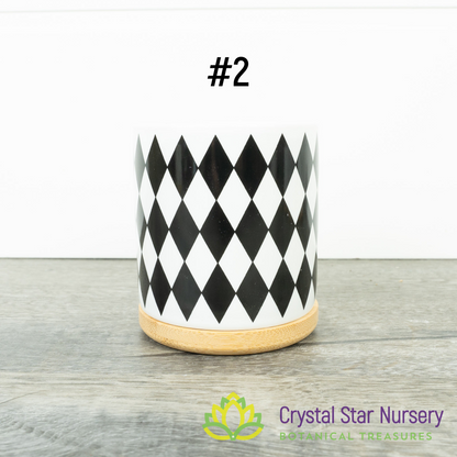 Assorted Design Round Pot with Bamboo Tray