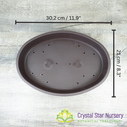 Shallow Large Oval Bonsai Training Pot