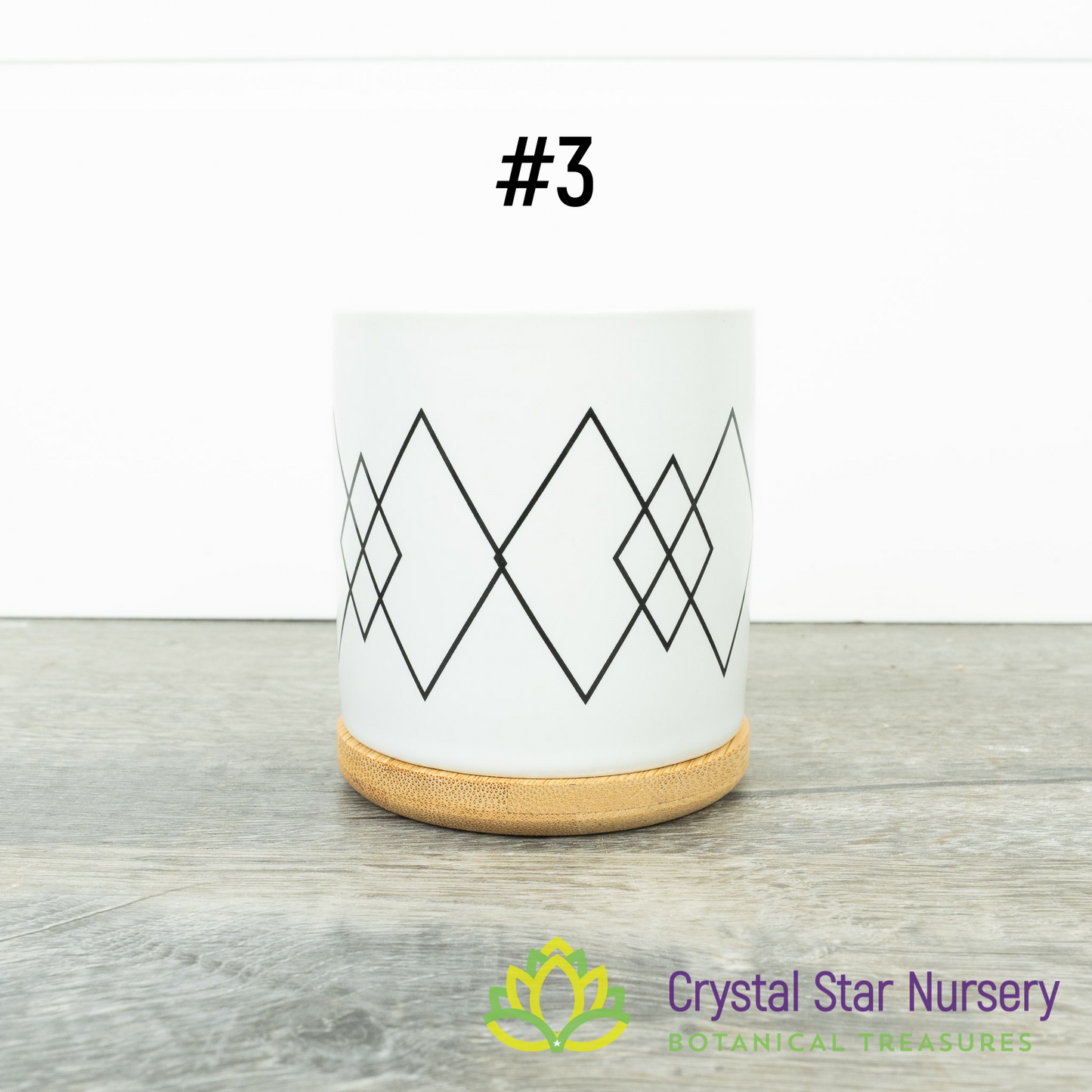 Assorted Design Round Pot with Bamboo Tray