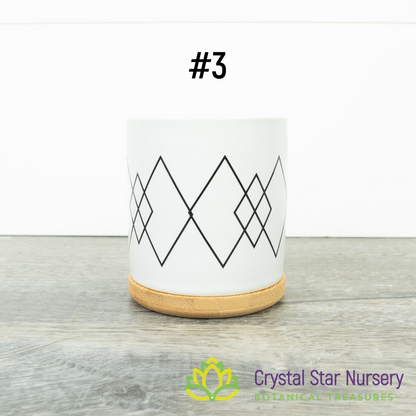 Assorted Design Round Pot with Bamboo Tray