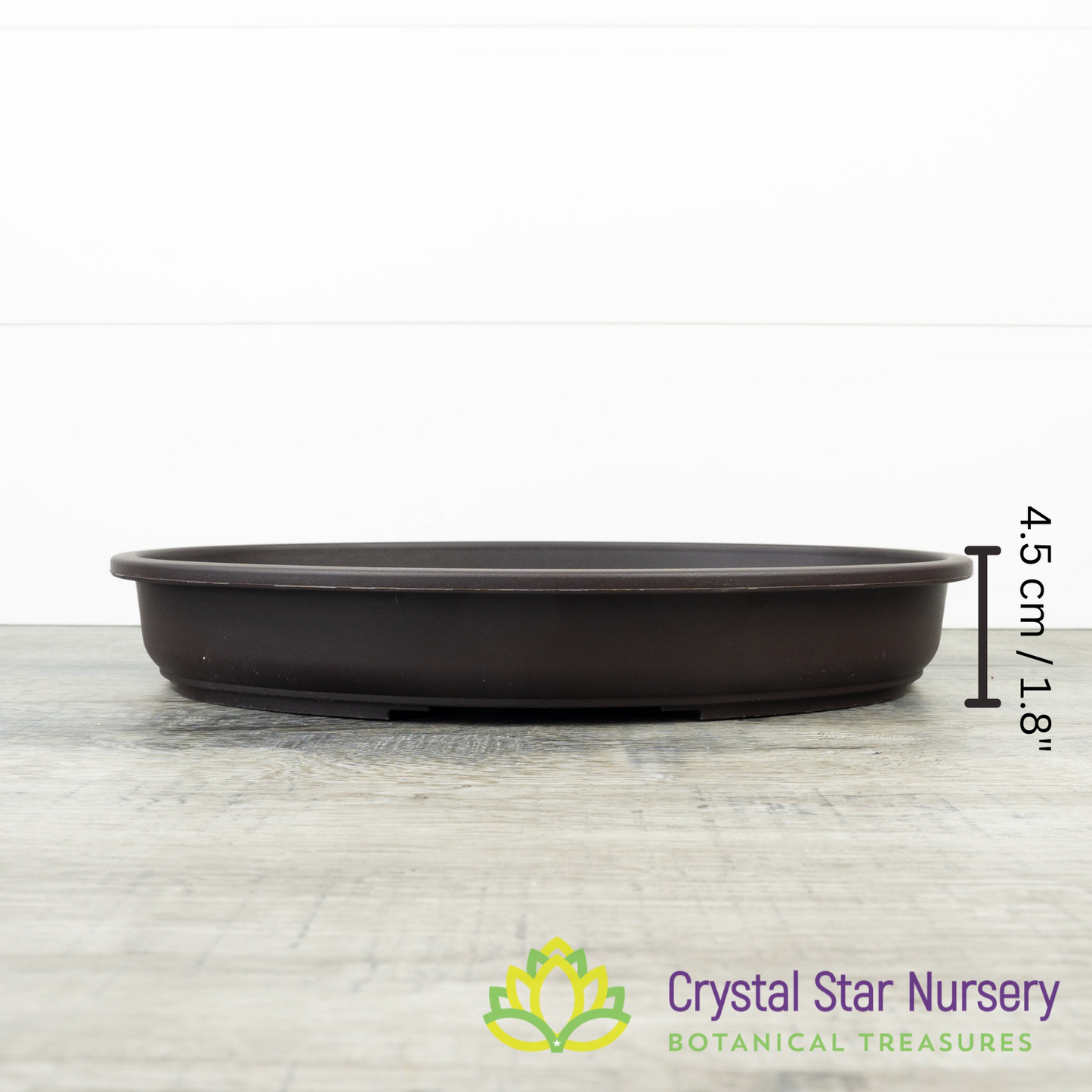 Shallow Large Oval Bonsai Training Pot