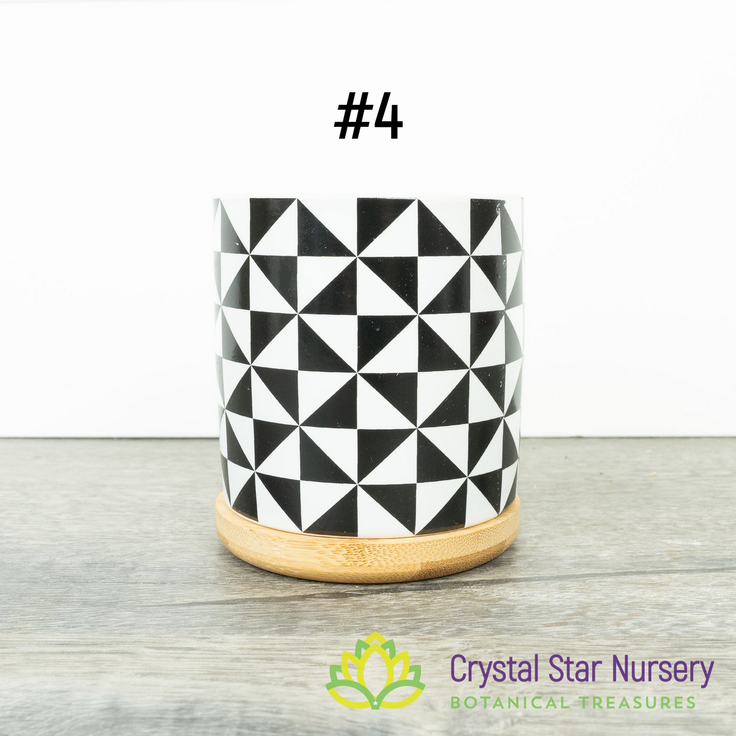 Assorted Design Round Pot with Bamboo Tray