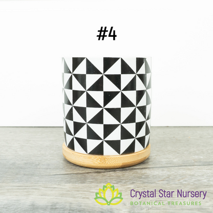 Assorted Design Round Pot with Bamboo Tray