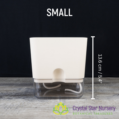 Square Self Watering Pot with Wick