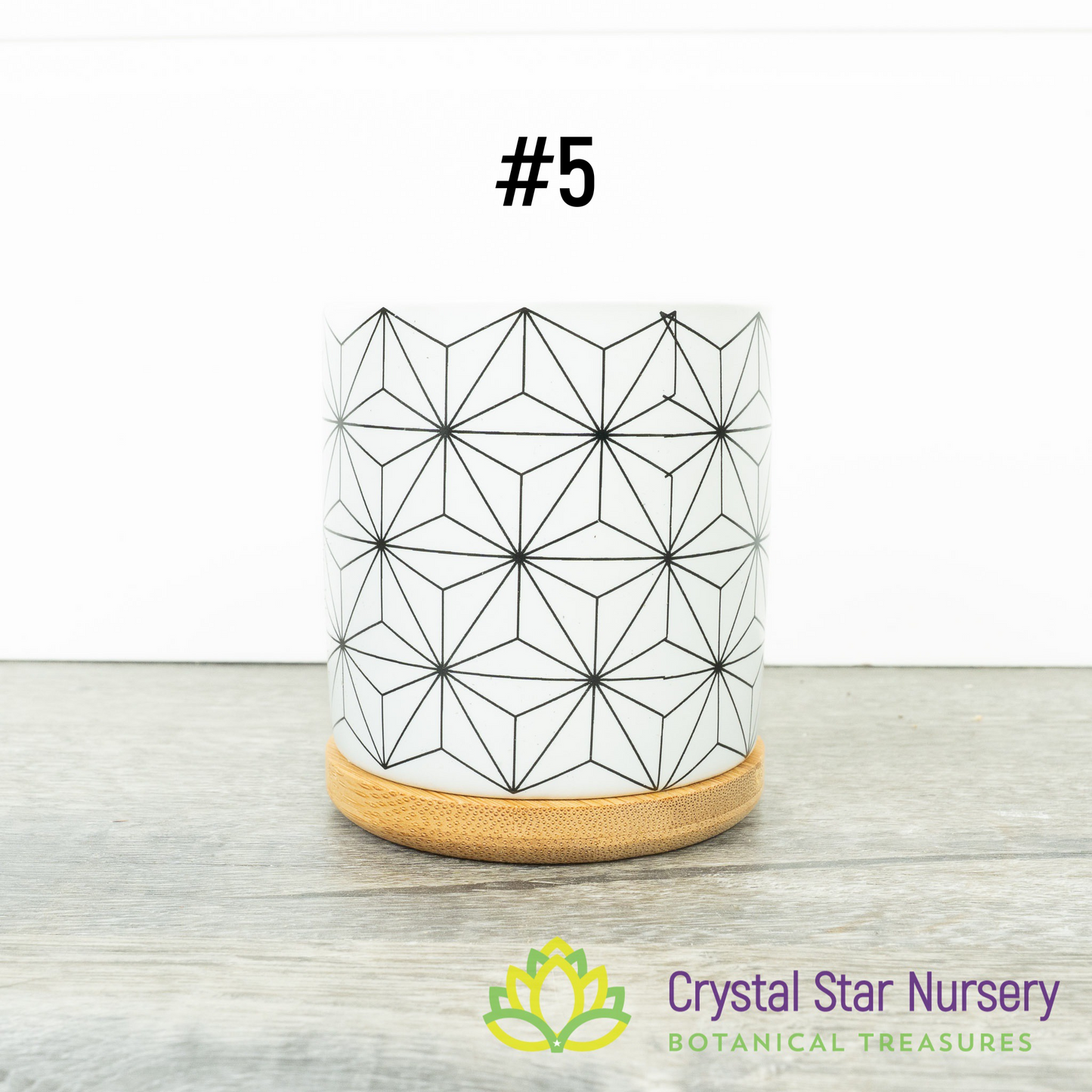 Assorted Design Round Pot with Bamboo Tray