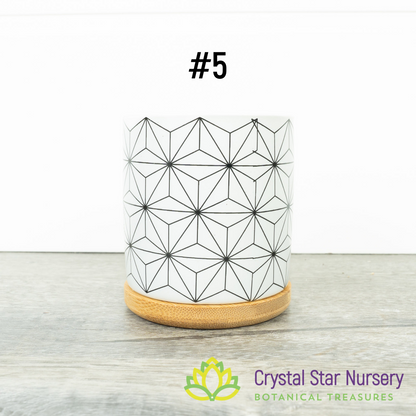 Assorted Design Round Pot with Bamboo Tray