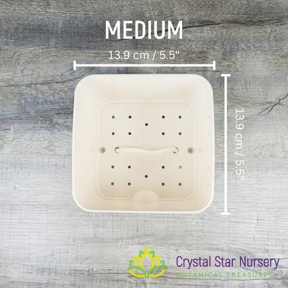 Square Self Watering Pot with Wick