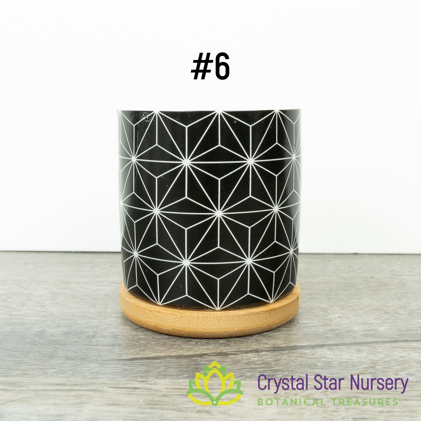 Assorted Design Round Pot with Bamboo Tray