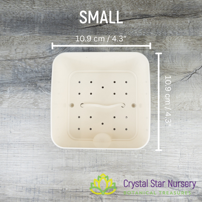 Square Self Watering Pot with Wick