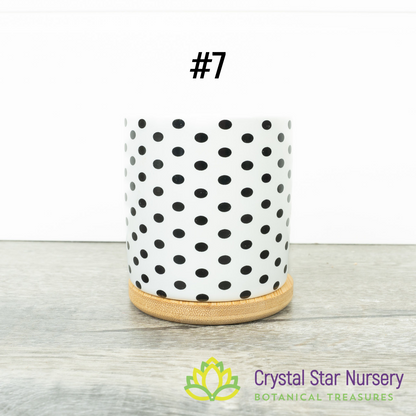 Assorted Design Round Pot with Bamboo Tray
