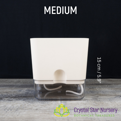 Square Self Watering Pot with Wick