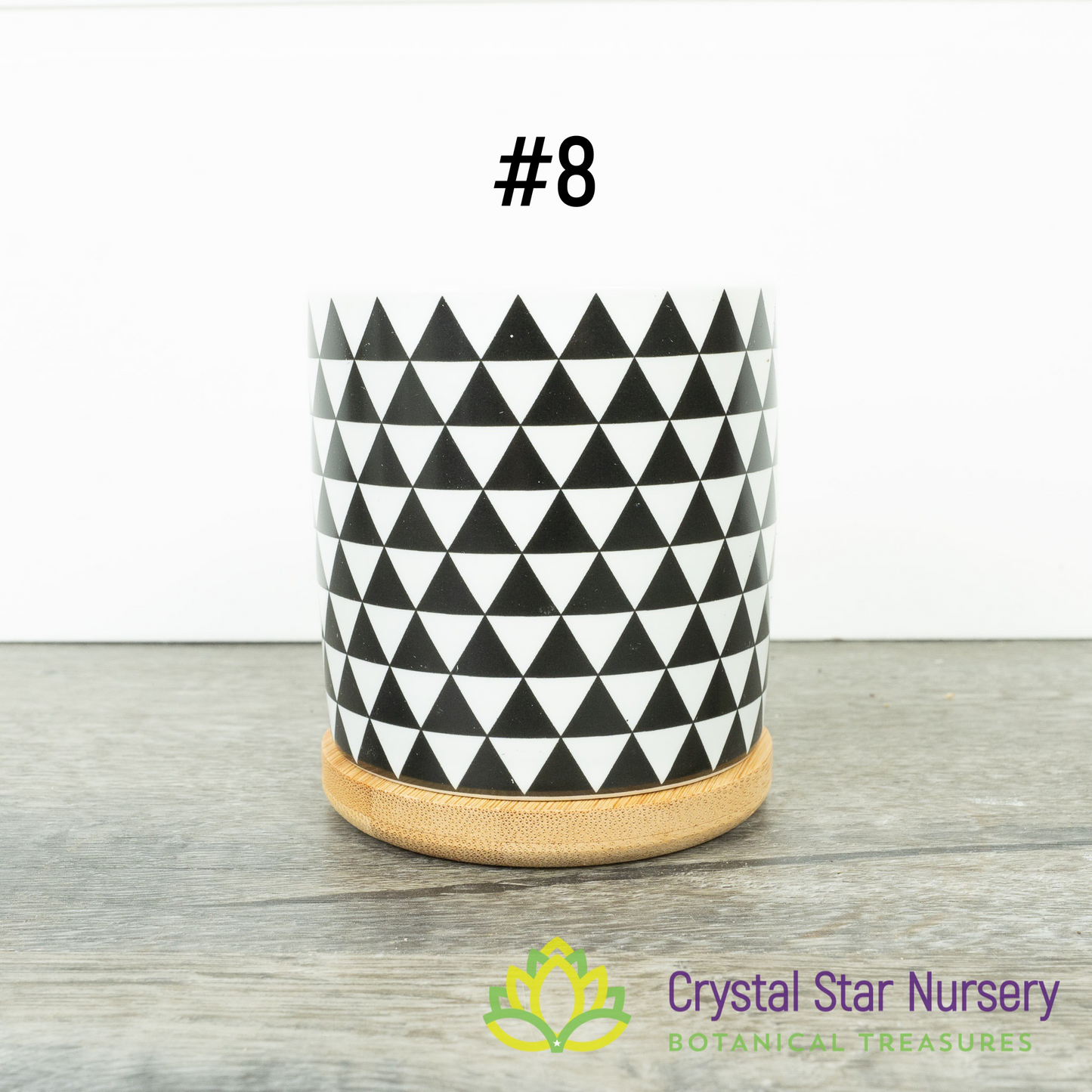 Assorted Design Round Pot with Bamboo Tray