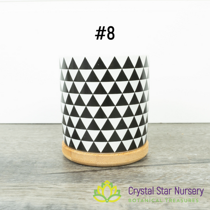 Assorted Design Round Pot with Bamboo Tray