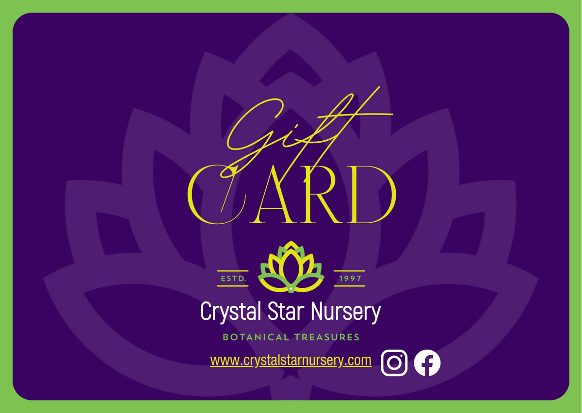 CSN Gift Card