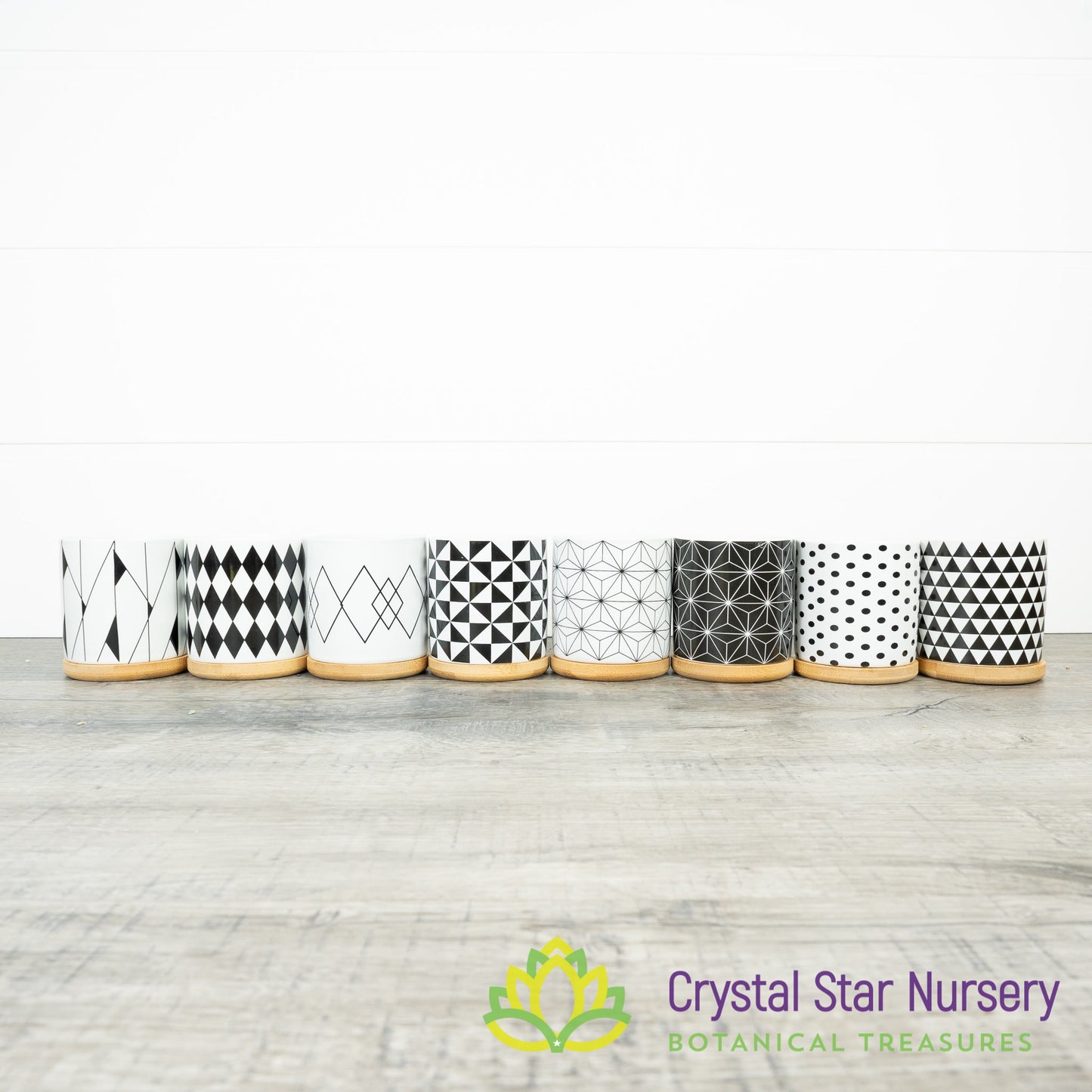 Assorted Design Round Pot with Bamboo Tray