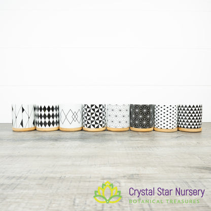Assorted Design Round Pot with Bamboo Tray