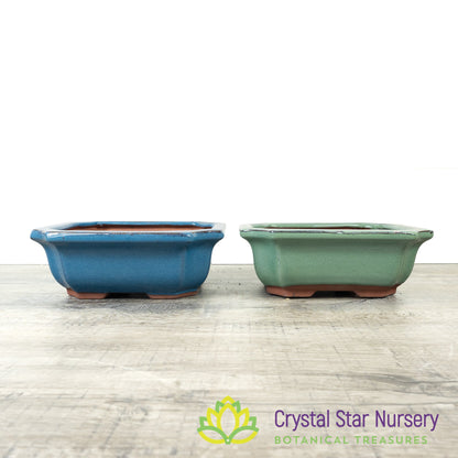 Bonsai Pot (B10)