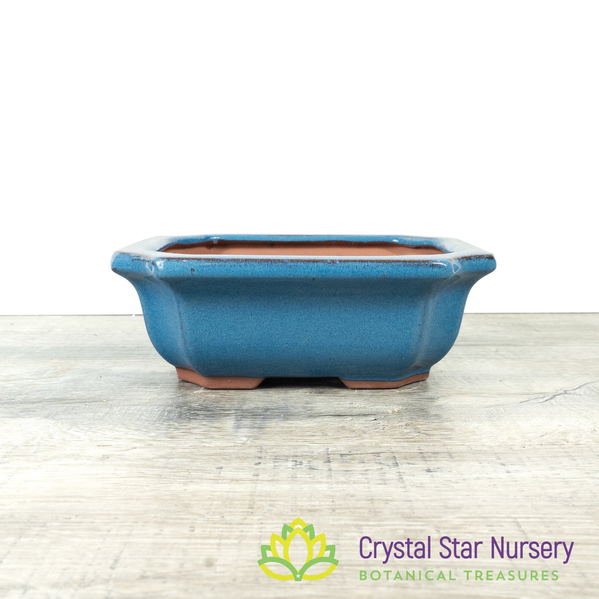 Bonsai Pot (B10)