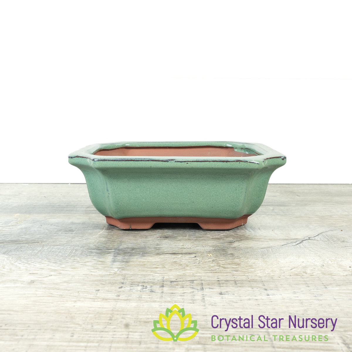 Bonsai Pot (B10)