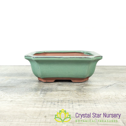 Bonsai Pot (B10)
