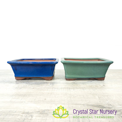 Bonsai Pot (B11)