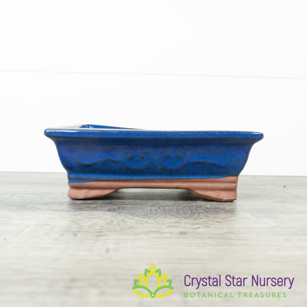 Bonsai Pot (B32)