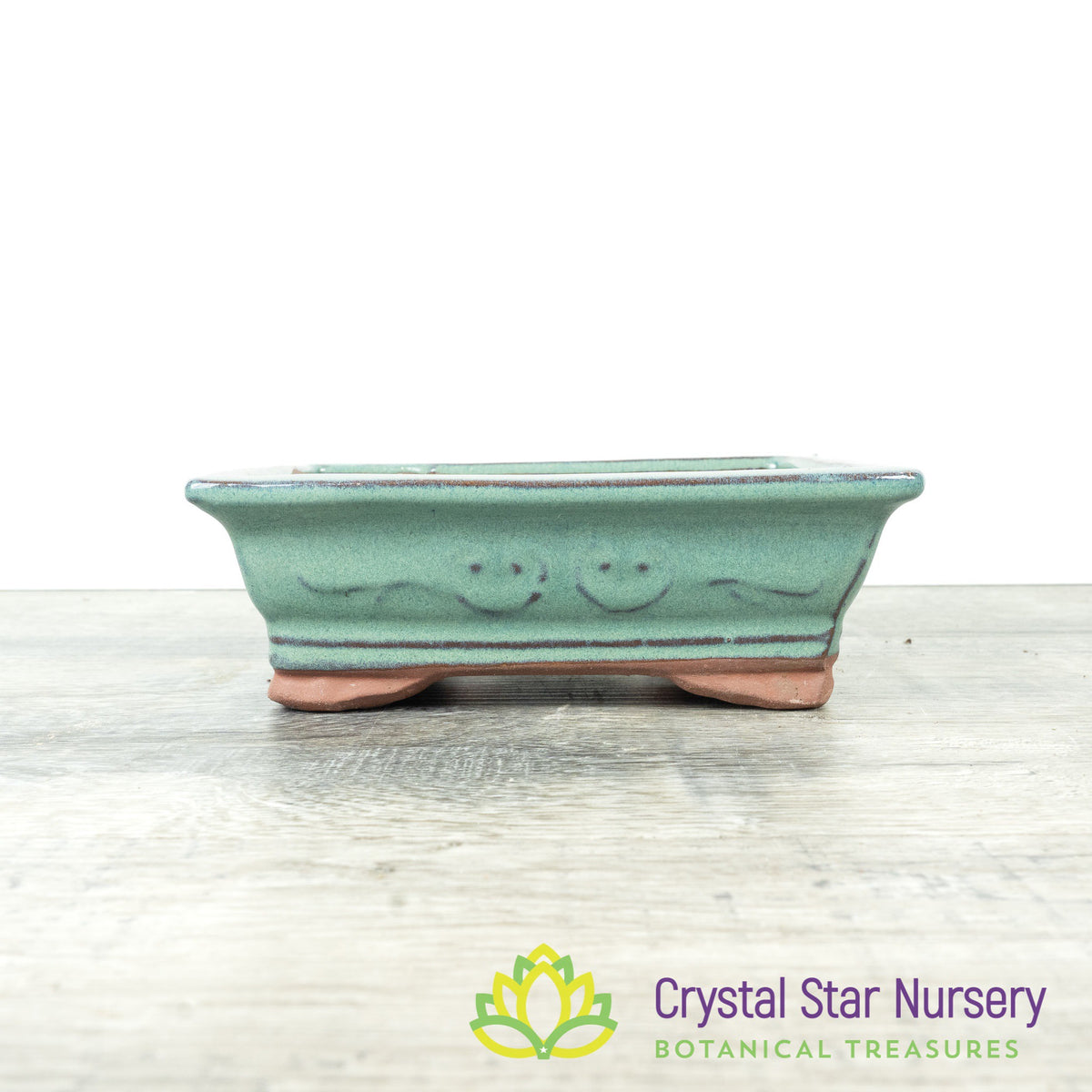 Bonsai Pot (B32)