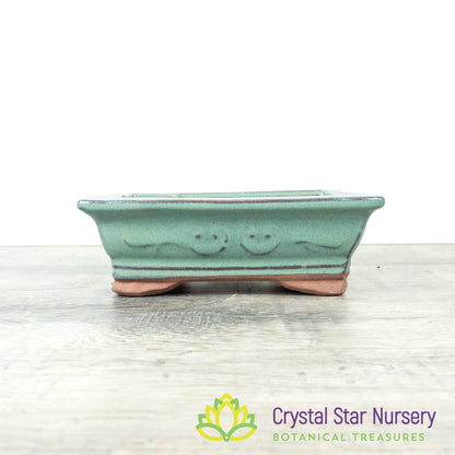 Bonsai Pot (B32)