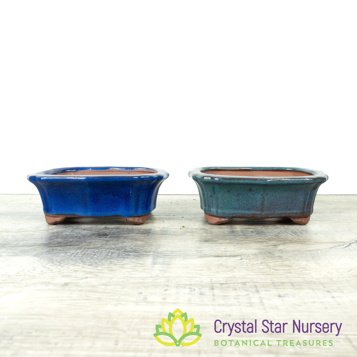 Bonsai Pot (B33)