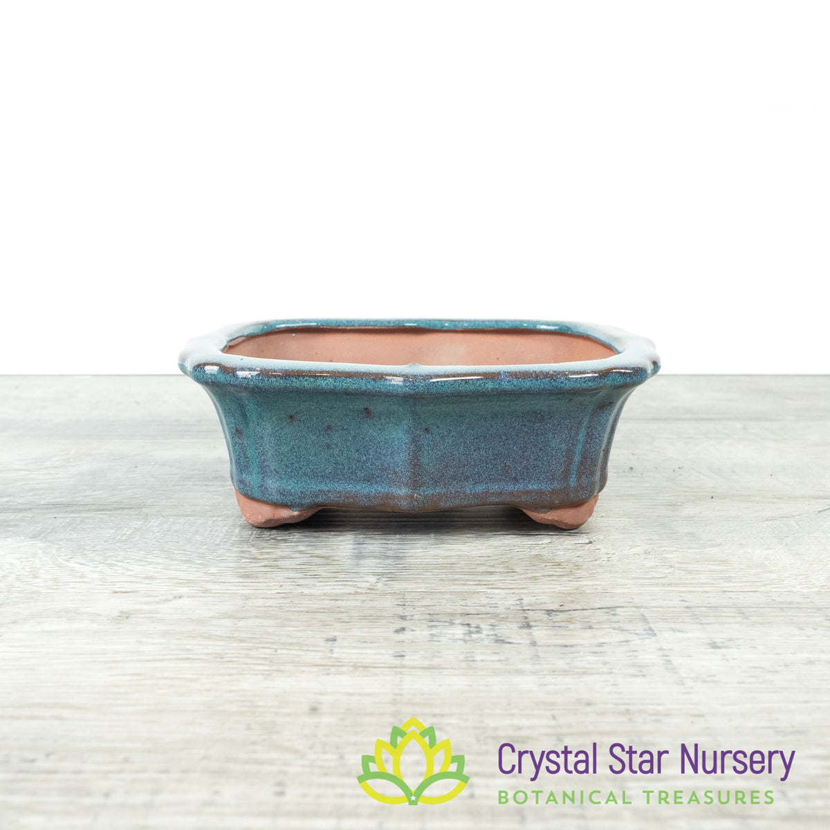 Bonsai Pot (B33)