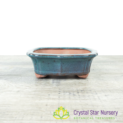 Bonsai Pot (B33)