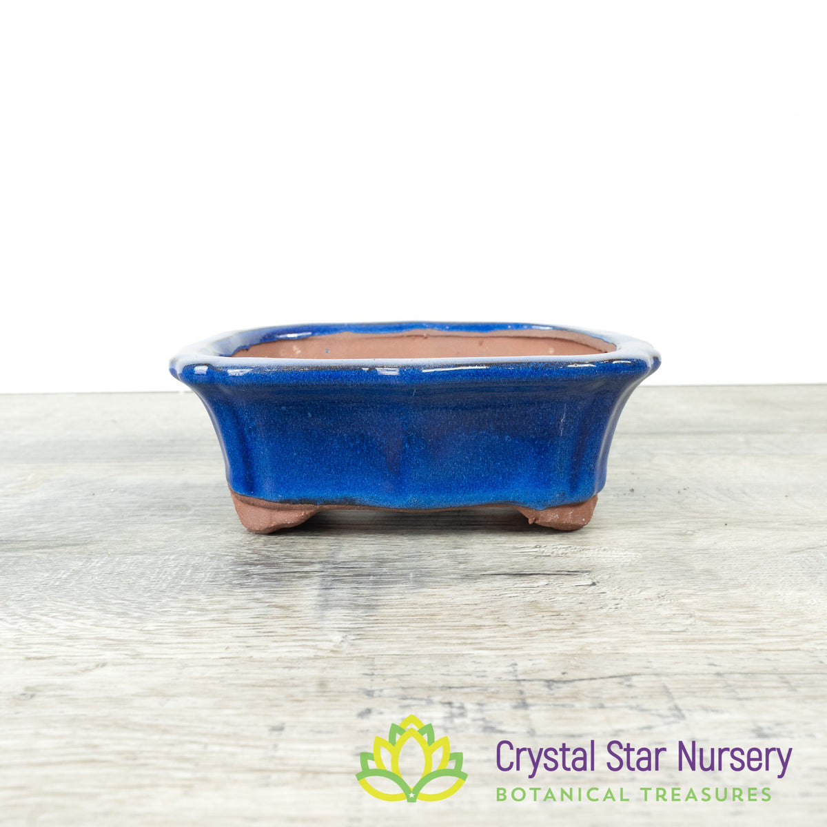 Bonsai Pot (B33)