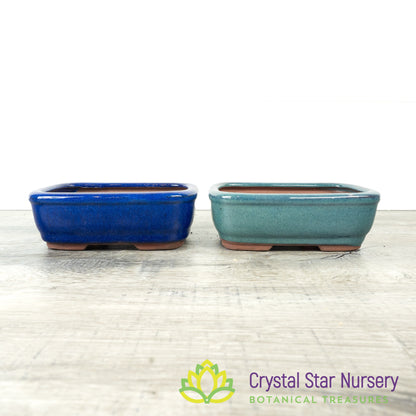 Bonsai Pot (B34)