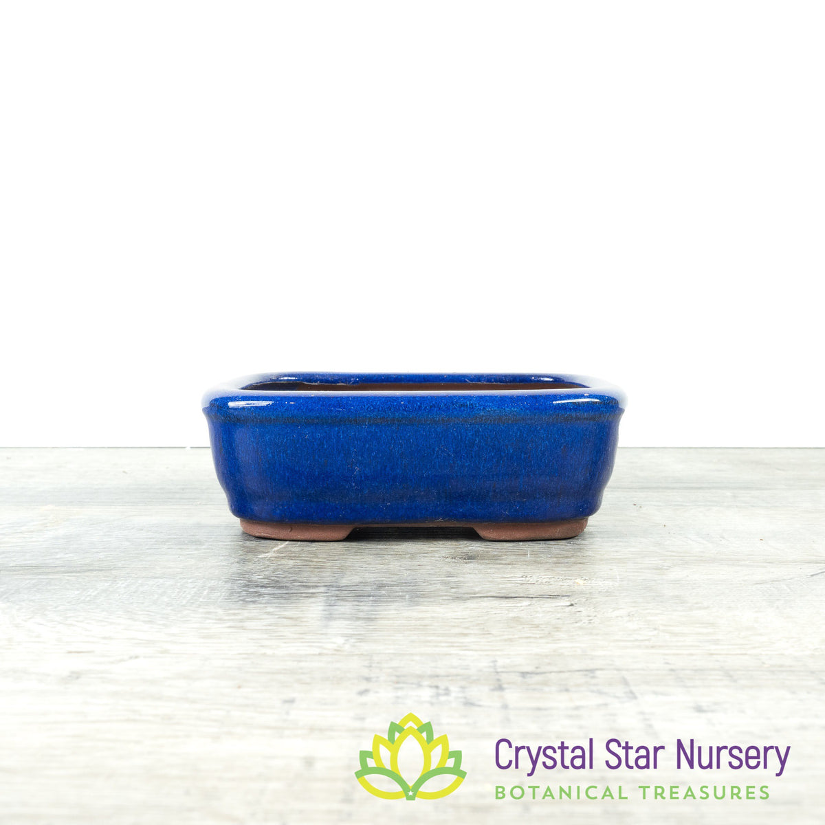 Bonsai Pot (B34)