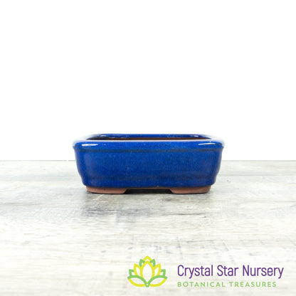 Bonsai Pot (B34)
